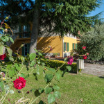 Giardino con rose Residence Paolina